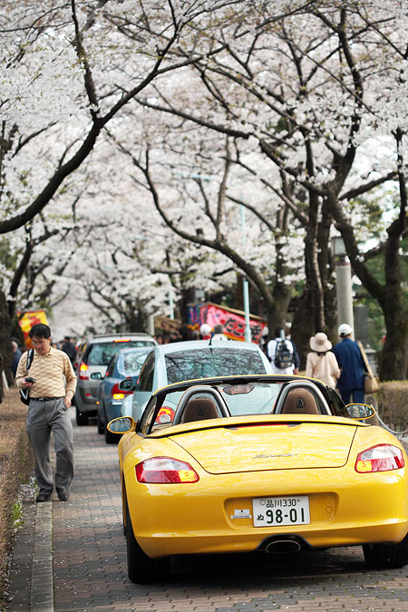 Porsche Boxter sous les Sakura au cimetiÃ¨re dâ€™Aoyama