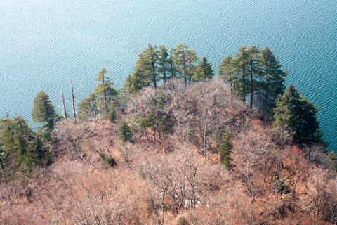 VÃ©gÃ©tation autour du lac Towadako