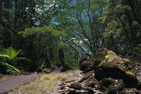 Un parc fait de roche volcanique
