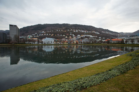 The park in Bergen