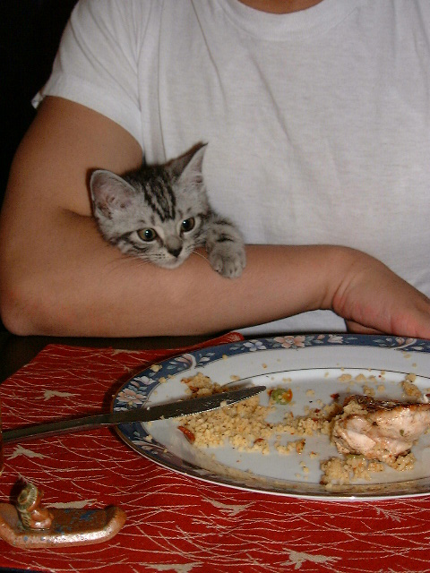 20000709 hungry