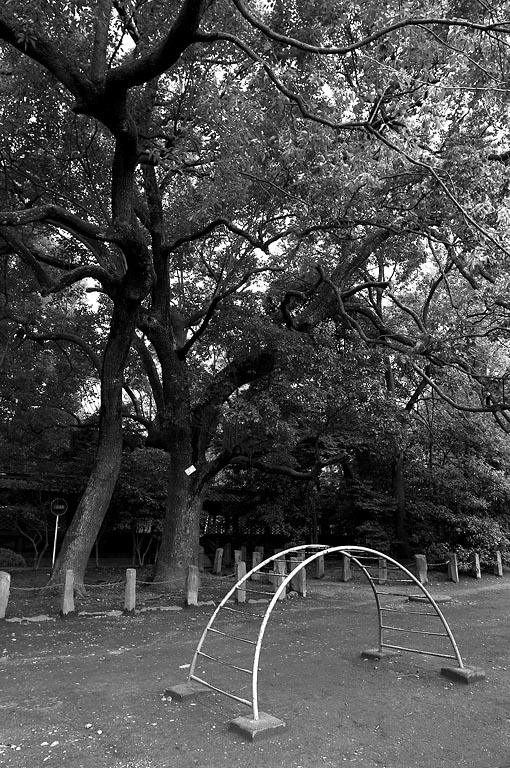 CRW 8836-bw