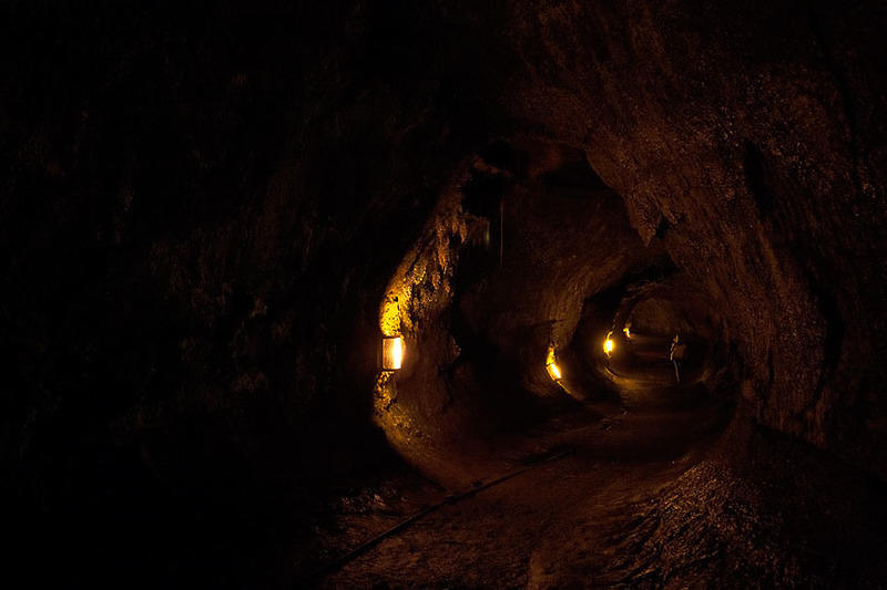 IMG_7629.jpg