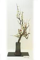 Ikebana Exhibition March 2005