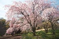 IMG_2354.jpg