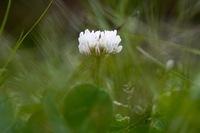 IMG_3006.jpg