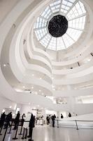IMG_5545.jpg