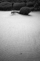 IMG_6428.jpg