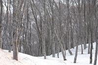 IMG_6993.jpg