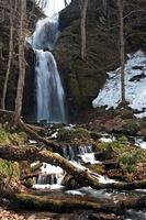 IMG_7030.jpg