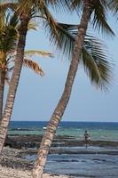 IMG_9798.jpg