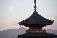 _MG_0451.jpg