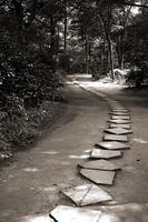 _MG_4104.jpg