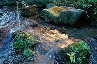 Hakone 2002