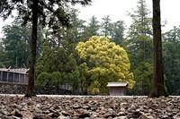 Isejingu Avril 2006