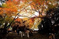 Kyoto - Automne 2005