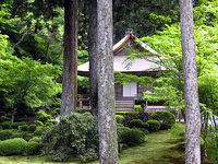 Kyoto Summer 2001