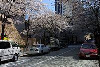 img 0095 std