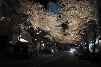 img 0102 std