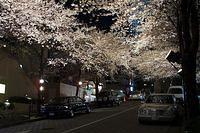 img 0109 std