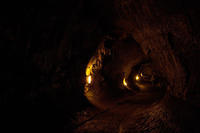 IMG_7629.jpg