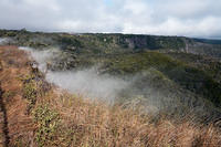IMG_7640.jpg