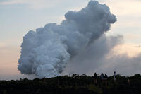 IMG_7659.jpg