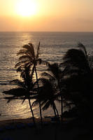IMG_7826.jpg