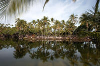 IMG_7860.jpg