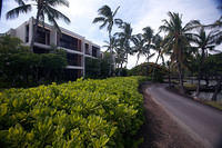 IMG_7880.jpg