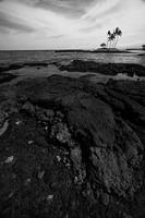 IMG_7883-bw