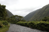 IMG_7957.jpg
