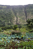 IMG_7970.jpg