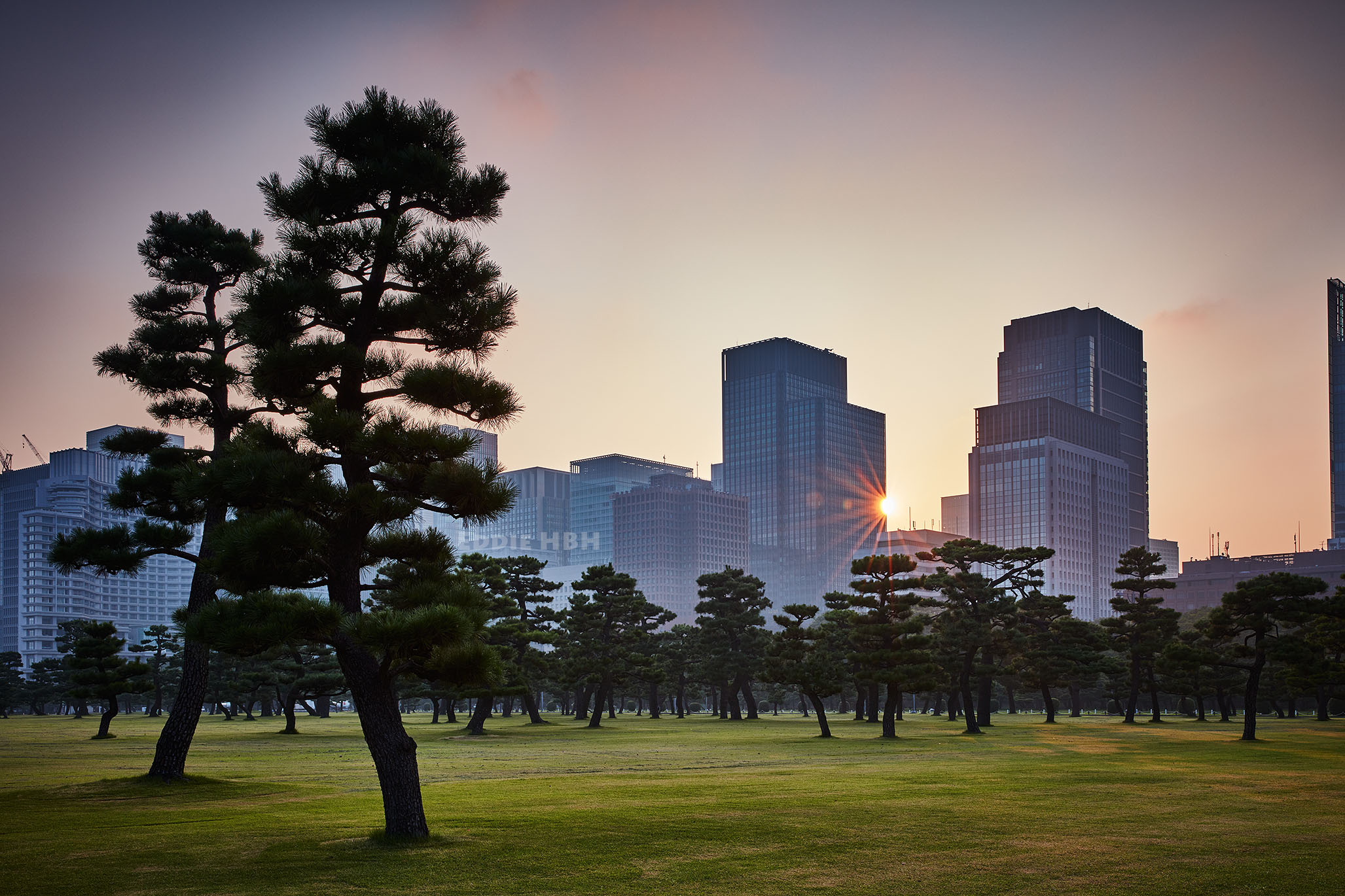 Sweet Tokyo Sunrise
