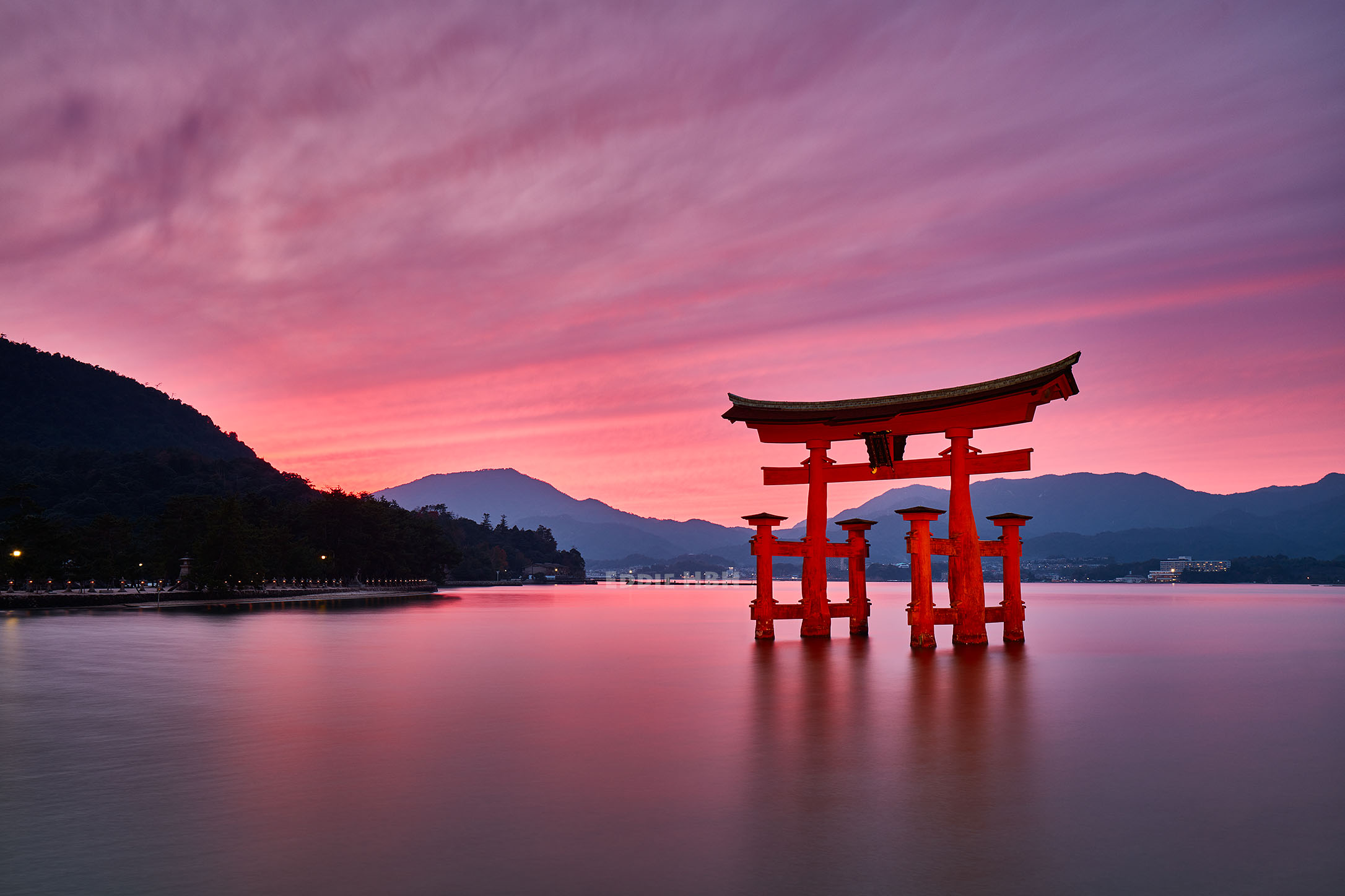 The Great Torii